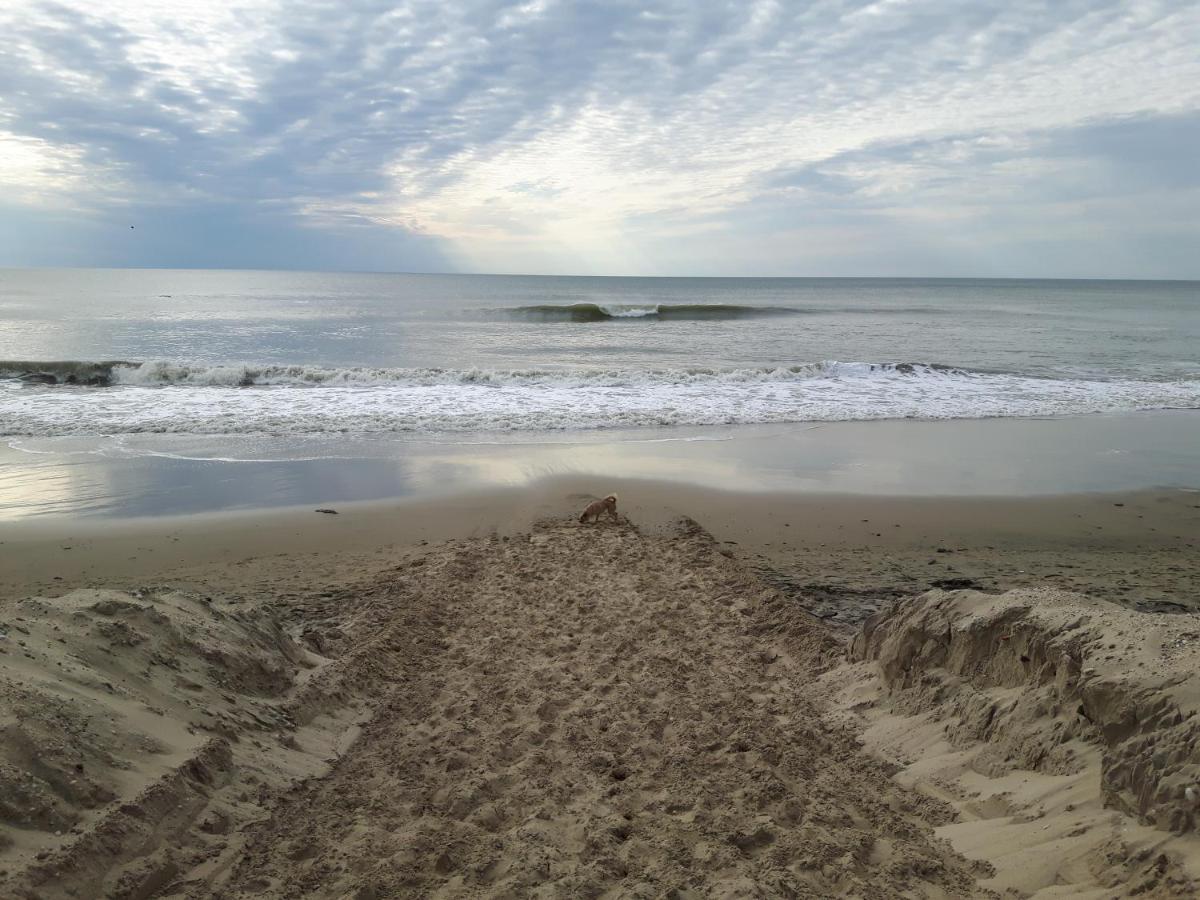 Appartement Soulac Sur Mer A 500 M De La Plage N 5 Ngoại thất bức ảnh